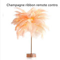 Feather Lamp Nordic Desk Lamp